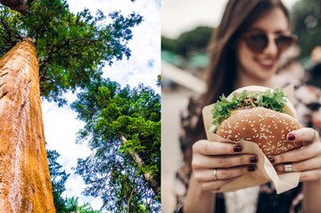 © Food Truck : O Séquoia - Domaine de Marlioz