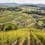 © Site viticole de Jongieux-Marestel - Henri De Caevel