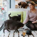 © Les Chapotins - Cats' Café and Wellness Centre - Julie Rivière