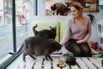 © Les Chapotins : Cats' Café and Wellness Centre - Julie Rivière