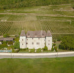© Photo des vignes du Château de la Mar - Château de la Mar