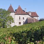 © Photo des vignes du Château de la Mar - Château de la Mar