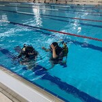 © Underwater diving and apnea courses - Copyright