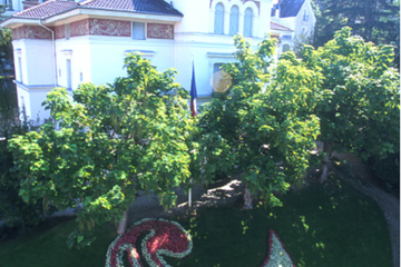 Museo Faure