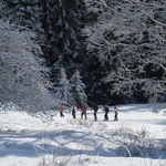 © Escursioni con racchette da neve alla Féclaz o al Revard - Fabien Lamborot