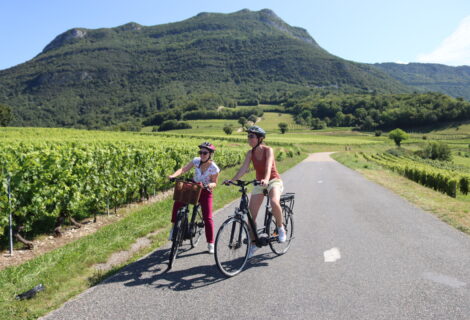 Cyclotourisme dans les vignes de Jongieux credit photo Aix les Bains Riviera des Alpes Header activites cyclo et VTT | Aix les Bains Riviera des Alpes