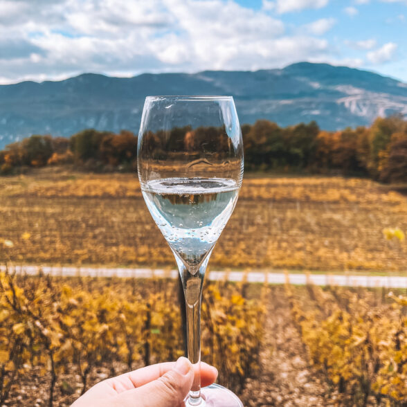 Vignes Chautagne TravelEaters